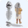 Dinosaur Skeleton Plush Child Version