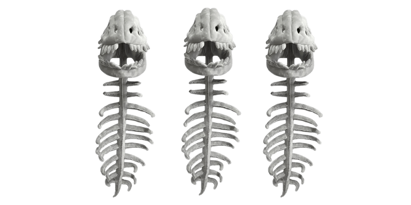 Dinosaur Skeleton Plush Merch